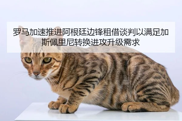 罗马加速推进阿根廷边锋租借谈判以满足加斯佩里尼转换进攻升级需求